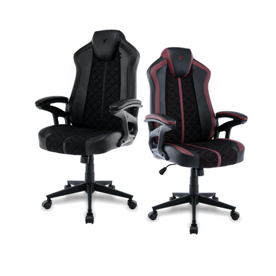 [BOGO] TTRacing Duo V4 Gaming Chair