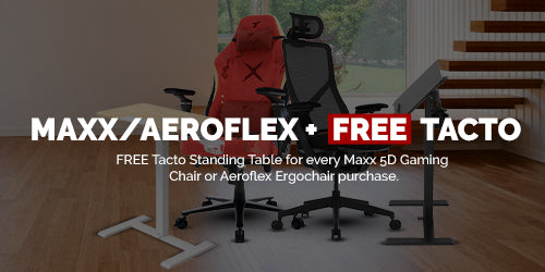 Chair + FREE Portable Standing Desk